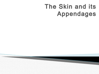 The Skin and its
Appendages

 