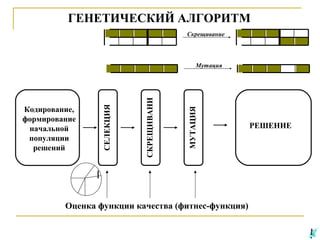ГЕНЕТИЧЕСКИЙ АЛГОРИТМ
Скрещивание

МУТАЦИЯ

СКРЕЩИВАНИ

Кодирование,
формирование
начальной
популяции
решений

СЕЛЕКЦИЯ

Мутация

Оценка функции качества (фитнес-функция)

РЕШЕНИЕ

 
