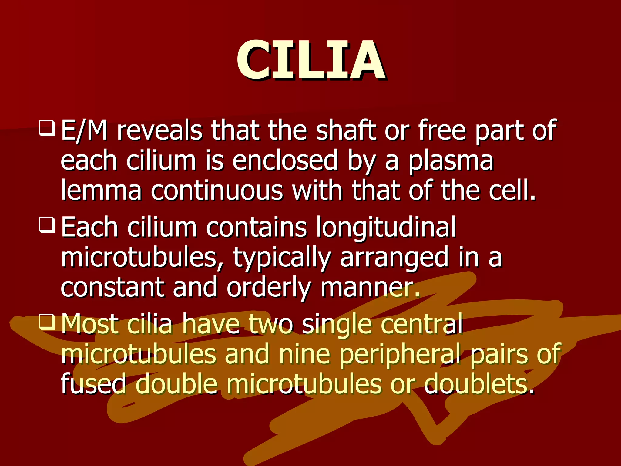 CILIA E/M reveals that the shaft or free part of each cilium is enclosed by a plasma lemma continuous with that of the cell. Each cilium contains longitudinal microtubules, typically arranged in a constant and orderly manner. Most cilia have two single central microtubules and nine peripheral pairs of fused double microtubules or doublets. 