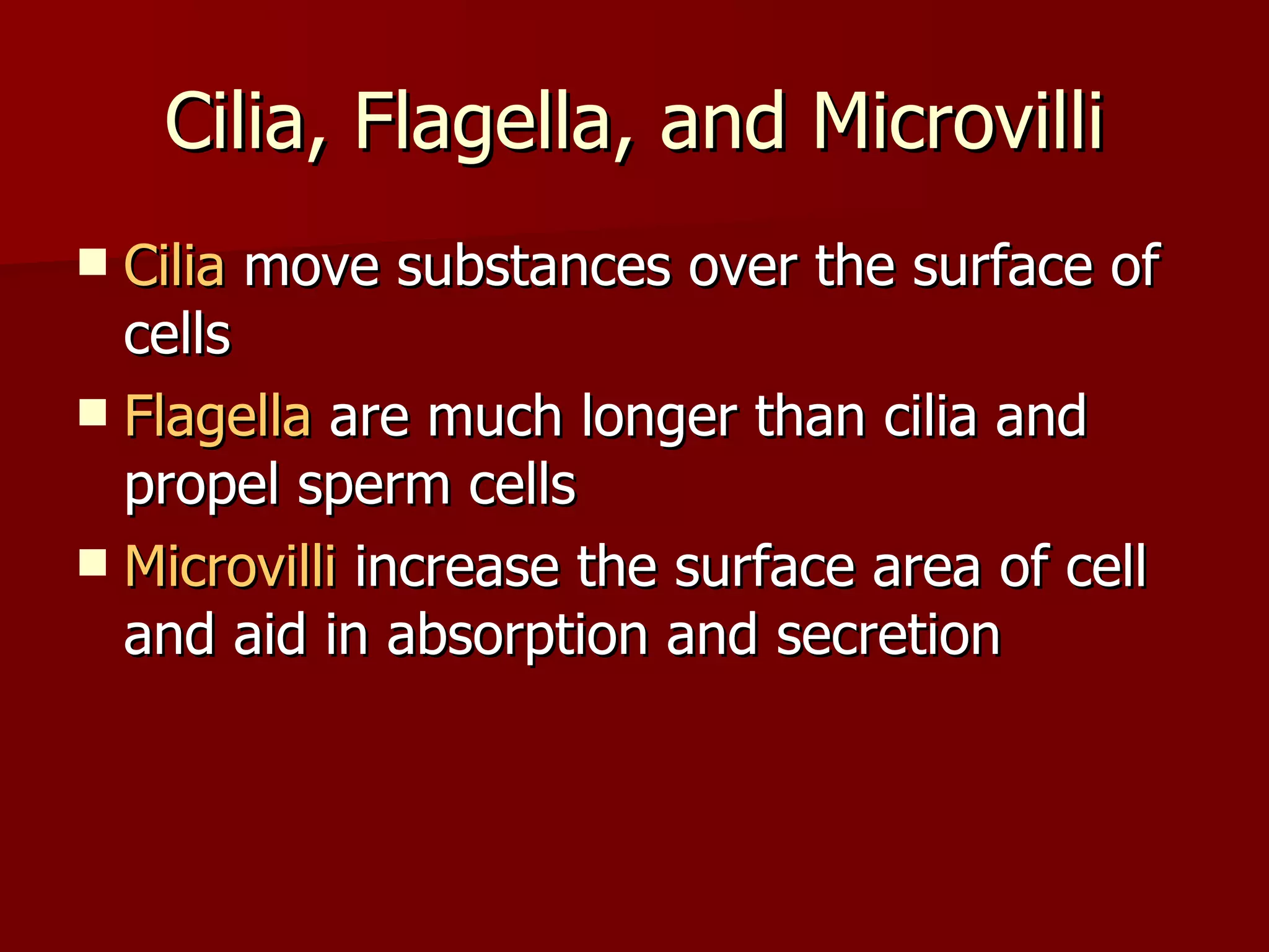 Cilia, Flagella, and Microvilli Cilia  move substances over the surface of cells Flagella  are much longer than cilia and propel sperm cells Microvilli  increase the surface area of cell and aid in absorption and secretion 