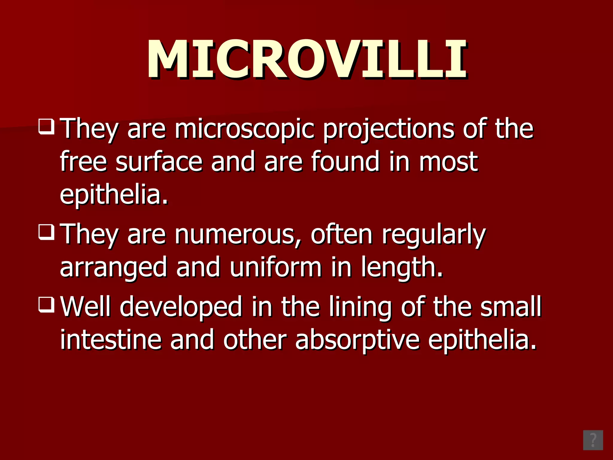 MICROVILLI They are microscopic projections of the free surface and are found in most epithelia. They are numerous, often regularly arranged and uniform in length. Well developed in the lining of the small intestine and other absorptive epithelia. 