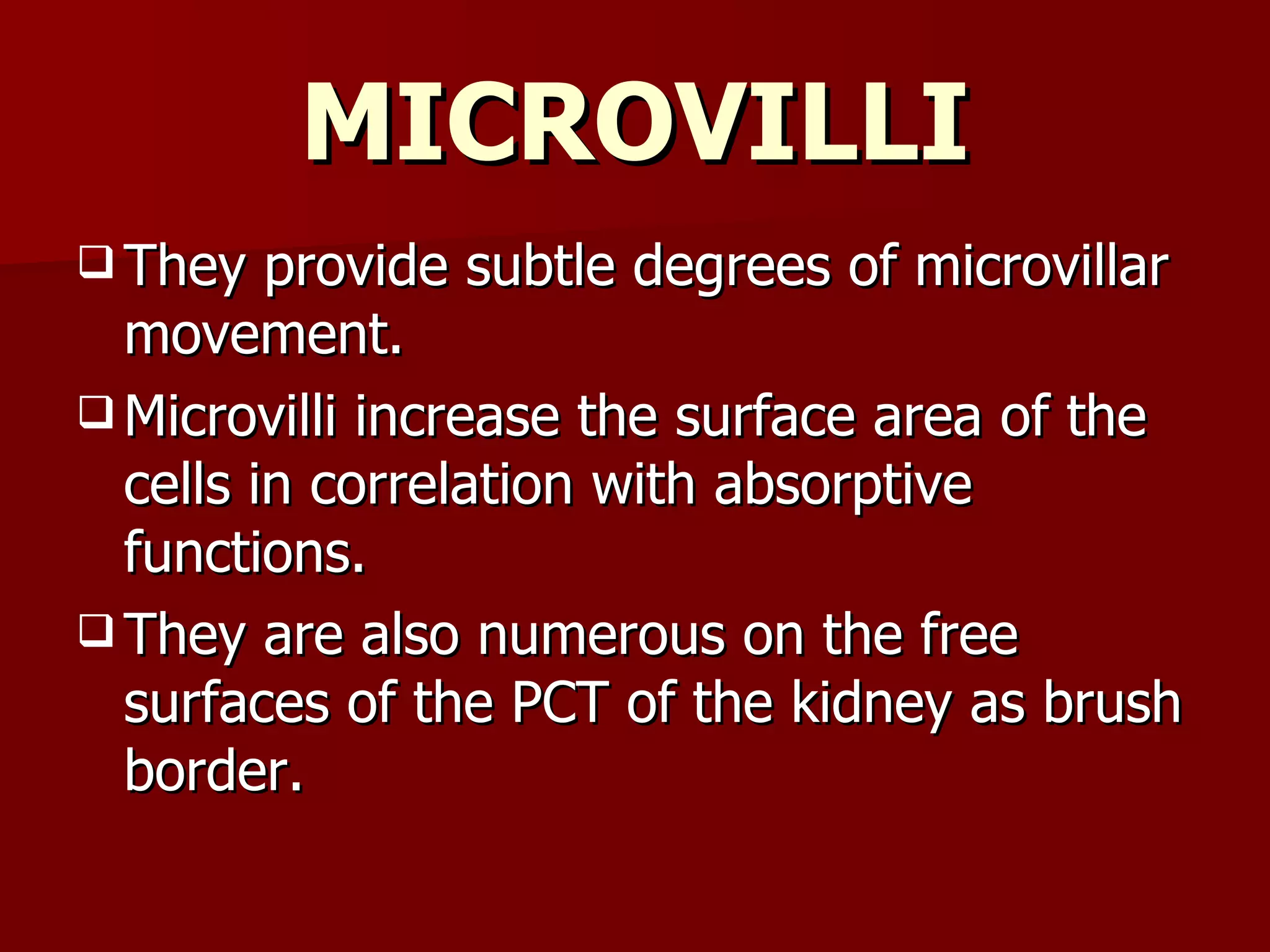 MICROVILLI They provide subtle degrees of microvillar movement. Microvilli increase the surface area of the cells in correlation with absorptive functions. They are also numerous on the free surfaces of the PCT of the kidney as brush border.  