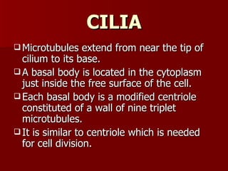 Kumar Cell 11.13 (dr. hemant kumar) cell surface modifications | PPT