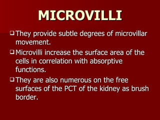 Kumar Cell 11.13 (dr. hemant kumar) cell surface modifications | PPT