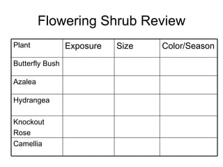 Flowering Shrub Review Camellia Knockout Rose Hydrangea Azalea Butterfly Bush Color/Season Size Exposure Plant 