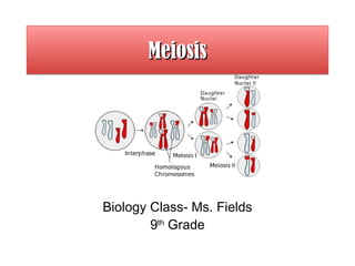 Meiosis




Biology Class- Ms. Fields
        9th Grade
 