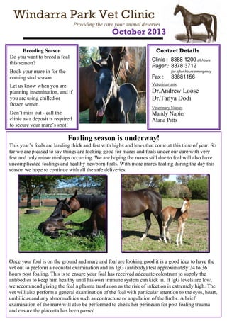 Windarra Park Vet Clinic
Providing the care your animal deserves

October 2013

Breeding Season
Do you want to breed a foal
this season?
Book your mare in for the
coming stud season.

Contact Details
Clinic : 8388 1200 all hours
Pager : 8378 3712
for after hours emergency

Fax :

83881156

Let us know when you are
planning insemination, and if
you are using chilled or
frozen semen.

Veterinarians

Don’t miss out - call the
clinic as a deposit is required
to secure your mare’s spot!

Mandy Napier
Alana Pitts

Dr.Andrew Loose
Dr.Tanya Dodi
Veterinary Nurses

Foaling season is underway!
This year’s foals are landing thick and fast with highs and lows that come at this time of year. So
far we are pleased to say things are looking good for mares and foals under our care with very
few and only minor mishaps occurring. We are hoping the mares still due to foal will also have
uncomplicated foalings and healthy newborn foals. With more mares foaling during the day this
season we hope to continue with all the safe deliveries.

Once your foal is on the ground and mare and foal are looking good it is a good idea to have the
vet out to preform a neonatal examination and an IgG (antibody) test approximately 24 to 36
hours post foaling. This is to ensure your foal has received adequate colostrum to supply the
antibodies to keep him healthy until his own immune system can kick in. If IgG levels are low,
we recommend giving the foal a plasma trasfusion as the risk of infection is extremely high. The
vet will also perform a general examination of the foal with particular attention to the eyes, heart,
umbilicus and any abnormalities such as contracture or angulation of the limbs. A brief
examination of the mare will also be performed to check her perineum for post foaling trauma
and ensure the placenta has been passed

 