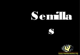 Semilla
s

 