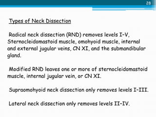 11.cancers of oropharynx & hypopharynx Slide 28