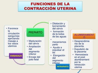 FUNCIONES DE LA
CONTRACCIÓN UTERINA

• Favorece
la
circulación
sanguínea
ejerciendo
masaje a
los vasos
uterinos

EMBARAZO

PREPARTO
• Maduración
del cérvix
• Ampliación
del
segmento
inferior
• Encaje del
polo fetal

• Dilatación y
borramiento
del cérvix
• formación
de la bolsa
de las aguas
•
mecanismos
parto
• Ayuda a
expulsar el
bb
• Elongación
del
segmento
inferior
INTRAPARTO

ALUMBRAMIENT
O
• Desprendimie
nto de la
placenta.
• Expulsión de
la placenta
• Hemostasia
en el post
alumbramient
por la
retracción
uterina

 