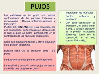 PUJOS
•

Los esfuerzos de los pujos son fuertes
contracciones de las paredes torácicas y
abdominales ( Rectos anteriores,oblicuos y
trasverso):
PUJOS EXPONTÁNEOS: Esta precedido por
una contracción, corta inspiración, después de
la cuál la glotis se cierra parcialmente en la
contracción de los músculos espiratorios
Cada pujo causa una rápida y breve elevación
de la presión abdominal
Durante cada CU se producen entre
pujos

2-6

La duración de cada pujo es de 5 segundos
La amplitud y duración de los pujos aumentan
a medida que progrese el parto

•

Intervienen los músculos
Rectos,
oblicuos
y
transverso.
Con cada contracción se
producen 2-6 pujos duran
5 seg. y causan elevación
de la presión intrauterina
60mmHg. Junto con la
contracción y el tono
suman 120mmHg.

 