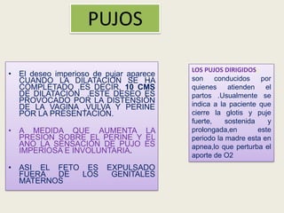 PUJOS
• El deseo imperioso de pujar aparece
CUANDO LA DILATACIÓN SE HA
COMPLETADO ,ES DECIR, 10 CMS
DE DILATACIÓN .ESTE DESEO ES
PROVOCADO POR LA DISTENSIÓN
DE LA VAGINA ,VULVA Y PERINE
POR LA PRESENTACIÓN.
• A MEDIDA QUE AUMENTA LA
PRESION SOBRE EL PERINE Y EL
ANO LA SENSACIÓN DE PUJO ES
IMPERIOSA E INVOLUNTARIA.

• ASI EL FETO ES
FUERA
DE
LOS
MATERNOS

EXPULSADO
GENITALES

LOS PUJOS DIRIGIDOS:
son
conducidos
por
quienes
atienden
el
partos .Usualmente se
indica a la paciente que
cierre la glotis y puje
fuerte,
sostenida
y
prolongada,en
este
periodo la madre esta en
apnea,lo que perturba el
aporte de O2

 