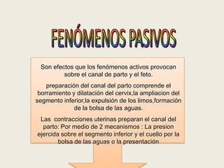 Son efectos que los fenómenos activos provocan
sobre el canal de parto y el feto.
preparación del canal del parto comprende el
borramiento y dilatación del cervix,la ampliacion del
segmento inferior,la expulsión de los limos,formación
de la bolsa de las aguas.
Las contracciones uterinas preparan el canal del
parto: Por medio de 2 mecanismos : La presion
ejercida sobre el segmento inferior y el cuello por la
bolsa de las aguas o la presentación

 