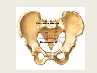 Transverso Máximo

Transverso Útil

 