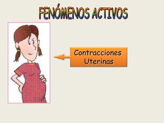 Contracciones
Uterinas

 