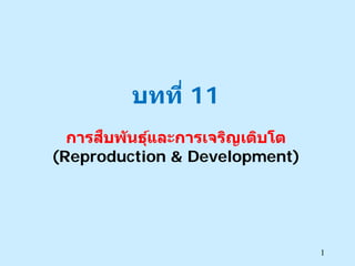 บทที่ 11
ื
การสบพ ันธุและการเจริญเติบโต
์
(Reproduction & Development)

1

 