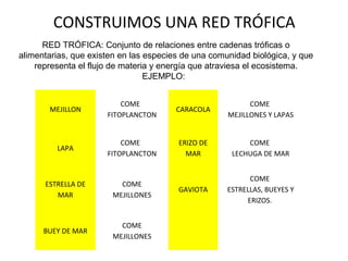 CONSTRUIMOS UNA RED TRÓFICA
RED TRÓFICA: Conjunto de relaciones entre cadenas tróficas o
alimentarias, que existen en las especies de una comunidad biológica, y que
representa el flujo de materia y energía que atraviesa el ecosistema.
EJEMPLO:

MEJILLON

COME
FITOPLANCTON

CARACOLA

COME
MEJILLONES Y LAPAS

LAPA

COME
FITOPLANCTON

ERIZO DE
MAR

COME
LECHUGA DE MAR

ESTRELLA DE
MAR

COME
MEJILLONES

GAVIOTA

COME
ESTRELLAS, BUEYES Y
ERIZOS.

BUEY DE MAR

COME
MEJILLONES

 