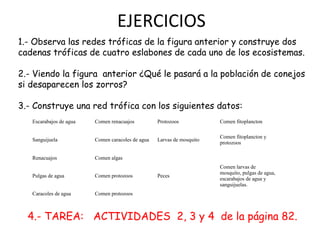 EJERCICIOS
1.- Observa las redes tróficas de la figura anterior y construye dos
cadenas tróficas de cuatro eslabones de cada uno de los ecosistemas.
2.- Viendo la figura anterior ¿Qué le pasará a la población de conejos
si desaparecen los zorros?
3.- Construye una red trófica con los siguientes datos:
Escarabajos de agua

Comen renacuajos

Protozoos

Comen fitoplancton

Sanguijuela

Comen caracoles de agua

Larvas de mosquito

Comen fitoplancton y
protozoos

Renacuajos

Comen algas
Peces

Comen larvas de
mosquito, pulgas de agua,
escarabajos de agua y
sanguijuelas.

Pulgas de agua

Comen protozoos

Caracoles de agua

Comen protozoos

4.- TAREA: ACTIVIDADES 2, 3 y 4 de la página 82.

 