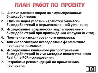 1. Анализ влияния жиров на эмульгированные
бифидобактерии;
2. Оптимизация условий наработки биомассы
бифидобактерий в ферментационной установке;
3. Исследование сохранности эмульгированных
бифидобактерий при прохождении желудка in vitro;
4. Получение капсулированного препарата;
5. Токсикологическое исследование ферментного
препарата на мышах;
6. Исследование кишечного распространения
бифидобактерий in vivo методом количественного
Real time PCR исследования;
7. Разработка рекомендаций по применению
препарата.

10
10

 
