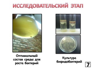 Оптимальный
состав среды для
роста бактерий

Культура
бифидобактерий

7

 