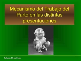 Felipe A. Flores PérezFelipe A. Flores Pérez
Mecanismo del Trabajo del
Parto en las distintas
presentaciones
 