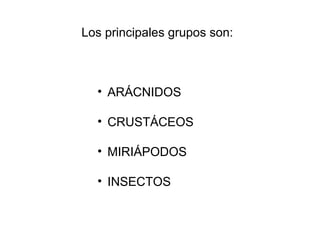 Los principales grupos son:
• ARÁCNIDOS
• CRUSTÁCEOS
• MIRIÁPODOS
• INSECTOS
 