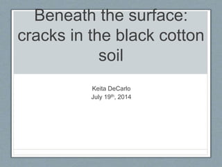 Beneath the surface:
cracks in the black cotton
soil
Keita DeCarlo
July 19th, 2014
 