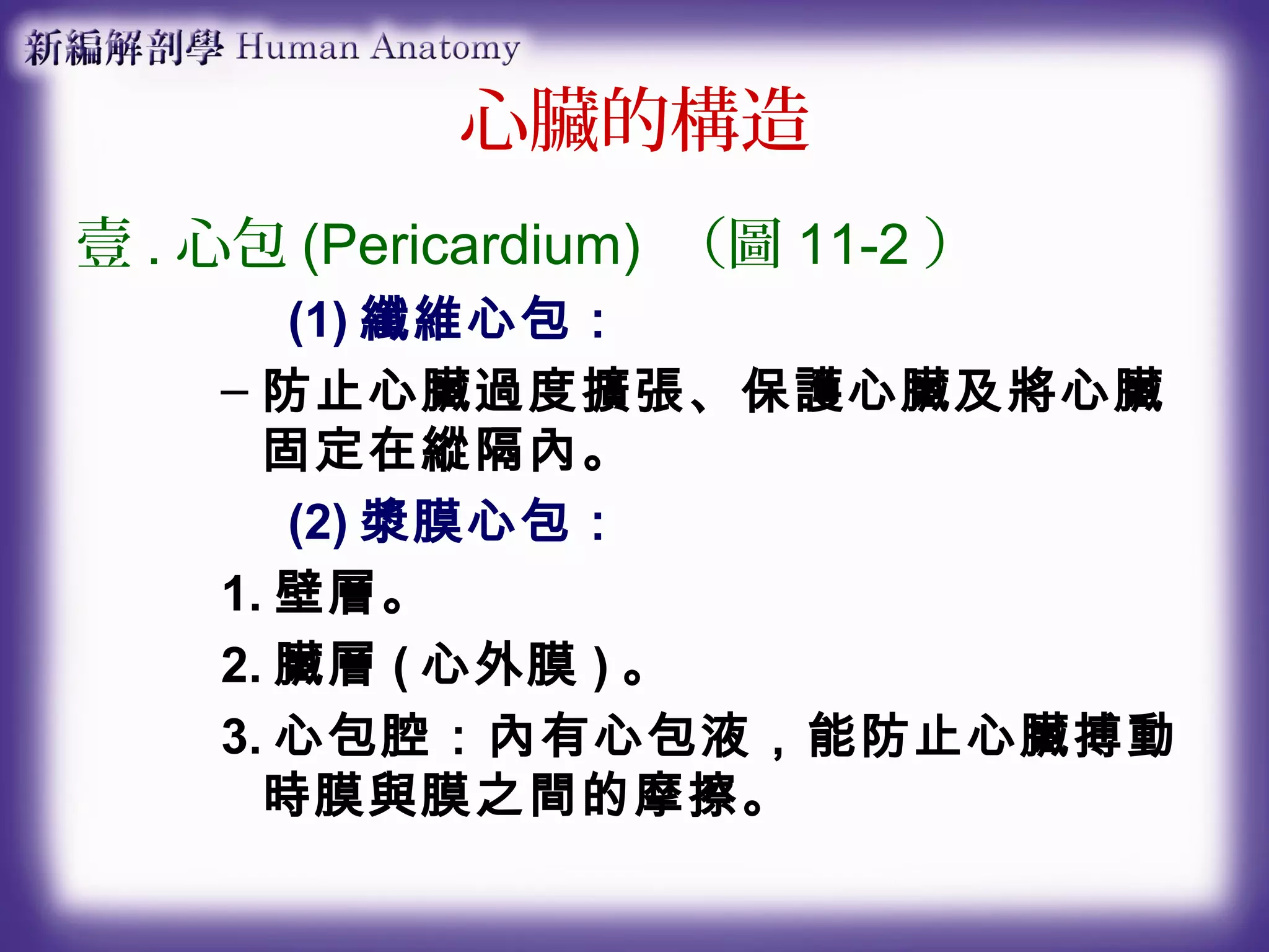 第11章心臟血管系統 | PPT