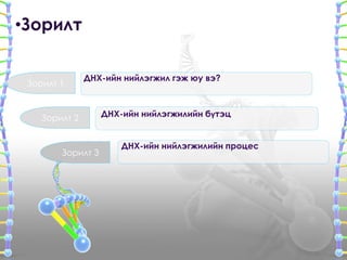 днх ийн нийлэгжил | PPT