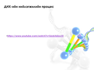ДНХ-ийн нийлэгжилийн процес 
•https://www.youtube.com/watch?v=S6zbX6bsvXI 
 