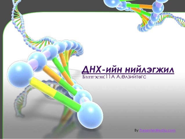 днх ийн нийлэгжил
