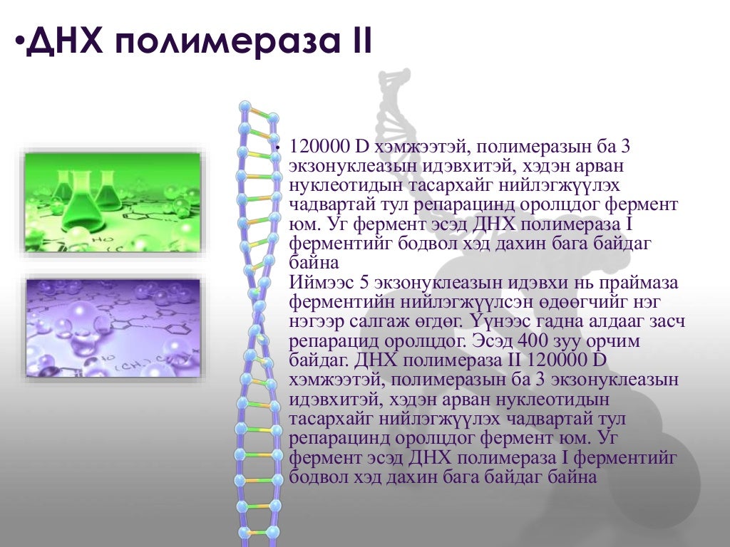 днх ийн нийлэгжил