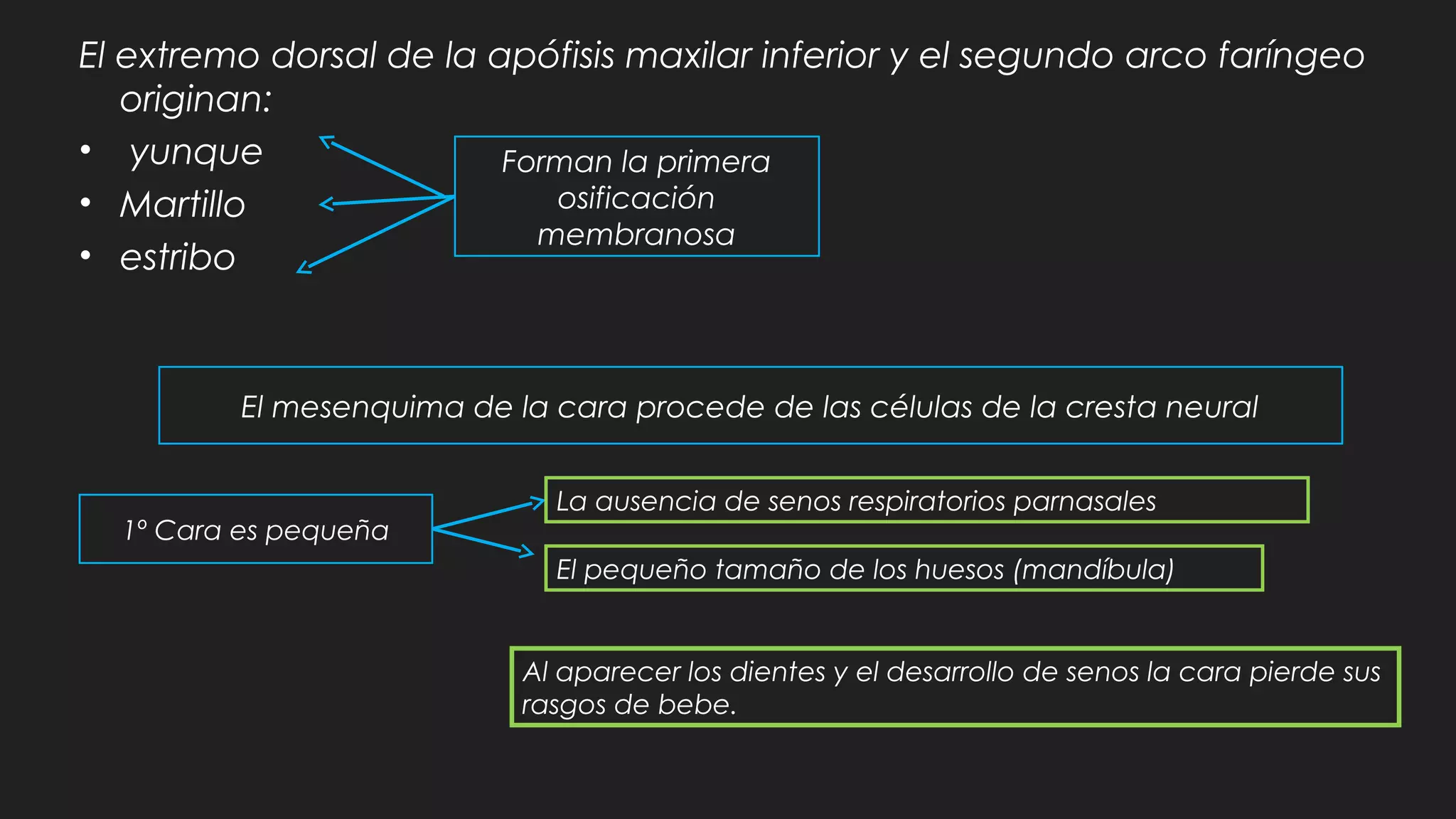 Embriologia Del Esqueleto Axial Ppt