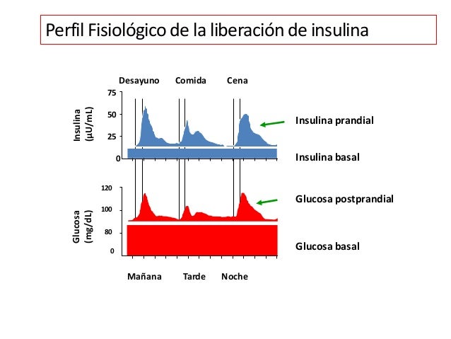 Iniciando, titulando y ajustando. Retos para lograr el control glucém ...