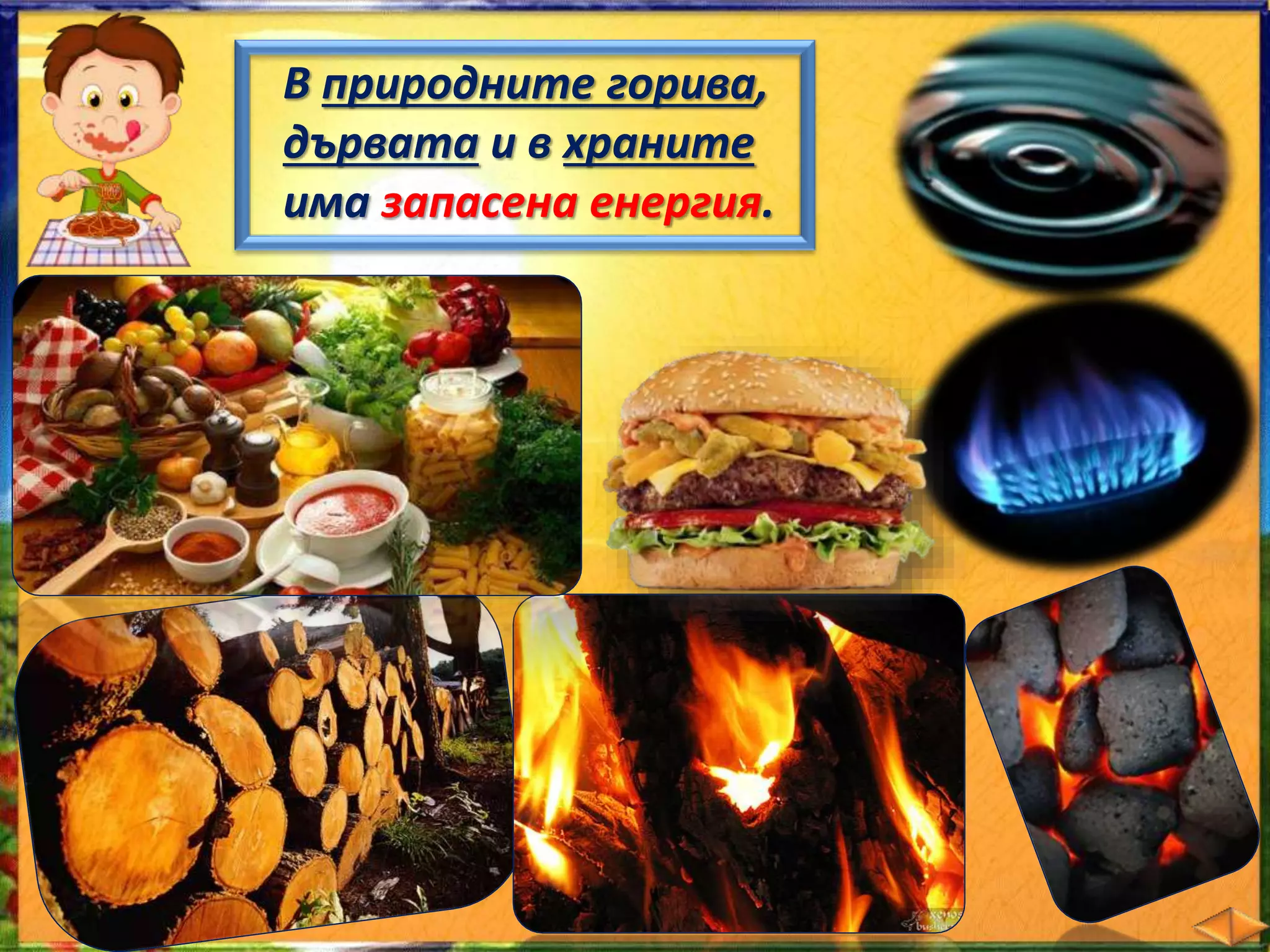 В природните горива, 
дървата и в храните 
има запасена енергия. 
 