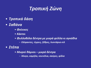 Τροπική Ζώνη 
• Τροπικά δάση 
• Σαβάνα 
• Φοίνικες 
• Κάκτοι 
• Φυλλοβόλα δέντρα με μικρά φύλλα κι αγκάθια 
– Ελέφαντες, τίγρεις, ζέβρες, λιοντάρια κτλ 
• Στέπα 
• Μικροί θάμνοι – μικρά δέντρα 
– Άλογο, καμήλα, κουνέλια, σαύρες, φίδια 
 