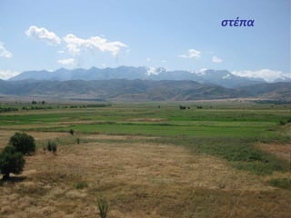 στέπα 
 