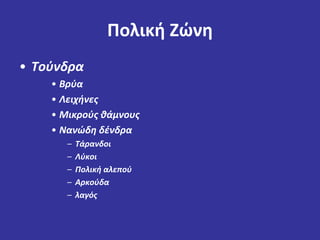 Πολική Ζώνη 
• Τούνδρα 
• Βρύα 
• Λειχήνες 
• Μικρούς θάμνους 
• Νανώδη δένδρα 
– Τάρανδοι 
– Λύκοι 
– Πολική αλεπού 
– Αρκούδα 
– λαγός 
 