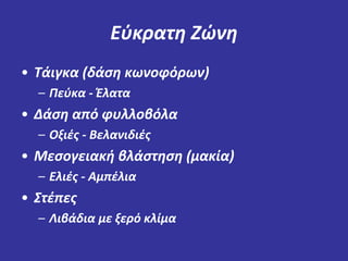 Εύκρατη Ζώνη 
• Τάιγκα (δάση κωνοφόρων) 
– Πεύκα - Έλατα 
• Δάση από φυλλοβόλα 
– Οξιές - Βελανιδιές 
• Μεσογειακή βλάστηση (μακία) 
– Ελιές - Αμπέλια 
• Στέπες 
– Λιβάδια με ξερό κλίμα 
 