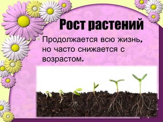 Рост растений
,Продолжается всю жизнь
но часто снижается с
.возрастом
 