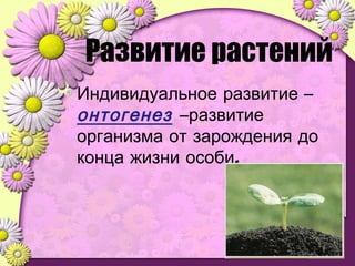 Развитие растений
Индивидуальное развитие –
онтогенез –развитие
организма от зарождения до
.конца жизни особи
 