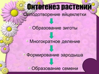 Онтогенез растений
Оплодотворение яйцеклетки
Образование зиготы
Многократное деление
Формирование зародыша
Образование семени
 