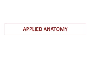 APPLIED ANATOMY 
 
