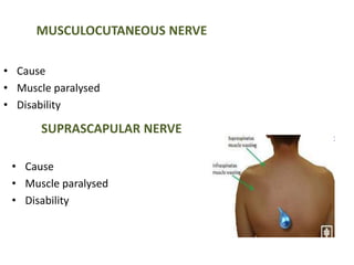 MUSCULOCUTANEOUS NERVE 
• Cause 
• Muscle paralysed 
• Disability 
SUPRASCAPULAR NERVE 
• Cause 
• Muscle paralysed 
• Disability 
 