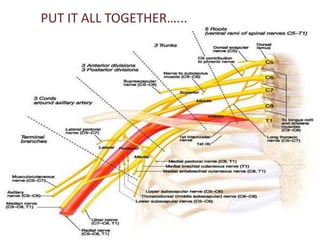 PUT IT ALL TOGETHER…... 
 