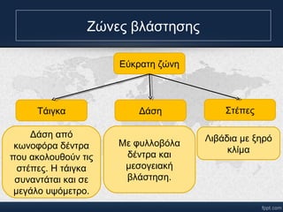 Δάση από 
Ζώνες βλάστησης 
κωνοφόρα δέντα 
που ακολουθούν τις 
στέπες. Η τάιγκα 
συναντάται και σε 
μεγάλο υψόμετρο. 
Εύκρατη ζώνη 
Τάιγκα Δάση 
Με φυλλοβόλα 
δέντα και 
μεσογειακή 
βλάστηση. 
Στέπες 
Λιβάδια με ξηρό 
κλίμα 
 