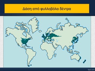 Δάση από φυλλοβόλα δέντα 
 