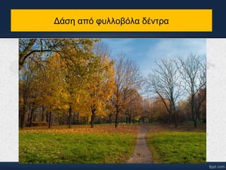 Δάση από φυλλοβόλα δέντα 
 