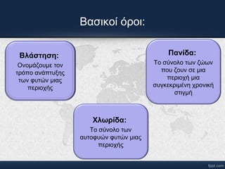 Βασικοί όροι: 
Βλάστηση: 
Ονομάζουμε τον 
τρόπο ανάπτυξης 
των φυτών μιας 
περιοχής 
Χλωρίδα: 
Το σύνολο των 
αυτοφυών φυτών μιας 
περιοχής 
Πανίδα: 
Το σύνολο των ζώων 
που ζουν σε μια 
περιοχή μια 
συγκεκριμένη χρονική 
στιγμή 
 
