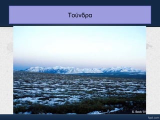Τούνδα 
 